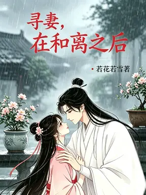 寻妻，在和离之后