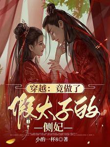穿越：竟做了假太子的侧妃 cover