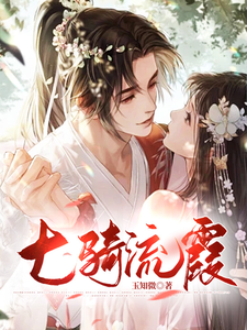 七骑流霞 cover