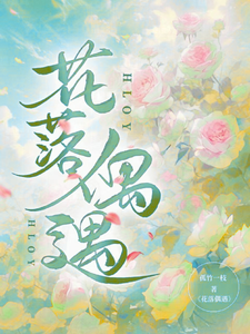 花落偶遇 cover