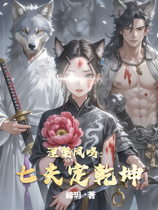 涅槃凤鸣：七夫定乾坤 cover