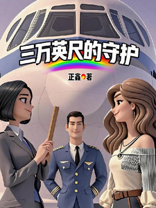 三万英尺的守护 cover