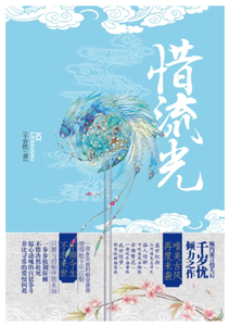 惜流光 cover