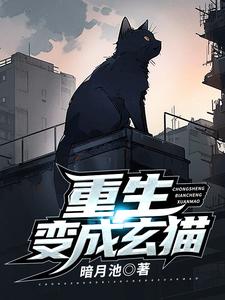 重生变成玄猫 cover