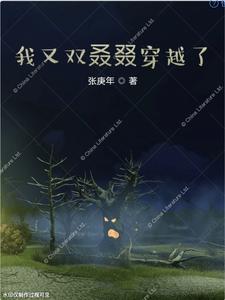 我又双叒叕穿越了II cover