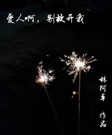 爱人啊，别放开我 cover