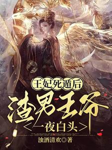 王妃死遁后，渣男王爷一夜白头 cover