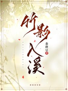 竹影入溪 cover