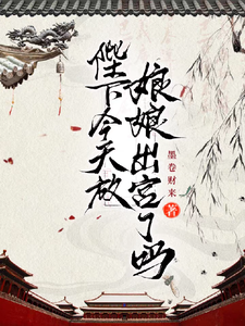 陛下今天放娘娘出宫了吗 cover