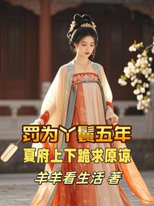罚为丫鬟五年，夏府上下跪求原谅 cover