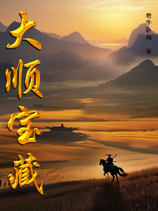 大顺宝藏 cover