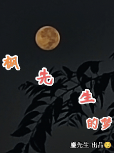 枫先生的梦 cover