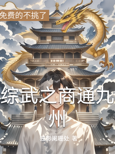 综武之商通九州 cover