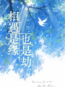 相遇是缘也是劫 cover