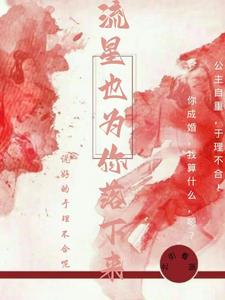 流星也为你落下来 cover