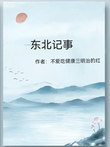 【东北记事】 cover