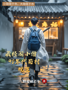 藏经阁小僧:90年代蜀村蜕变 cover