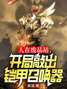 人在废品站,开局敲出铠甲召唤器 cover