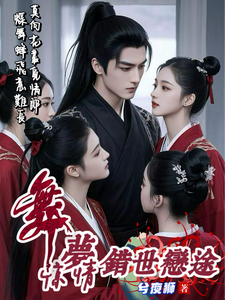 舞梦惊情：错世恋途 cover