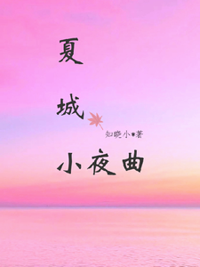 夏城小夜曲 cover