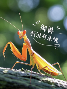 御兽，我没有系统 cover