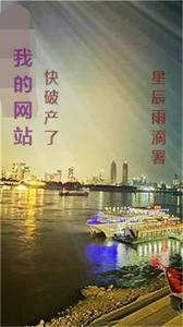 我的网站快破产了 cover