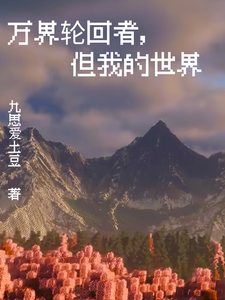万界轮回者，但我的世界 cover
