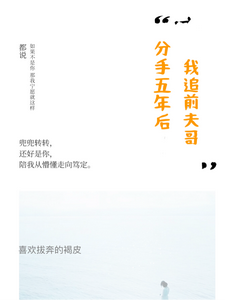 分手五年后，我追前夫哥 cover