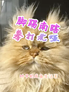 脚踢南瞎拳打北哑 cover