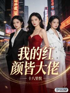 我的红颜皆是大佬 cover