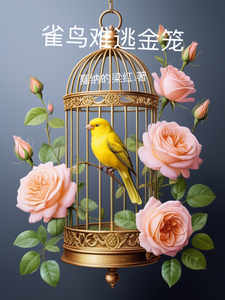 雀鸟难逃金笼 cover