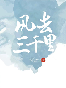 风去三千里 cover