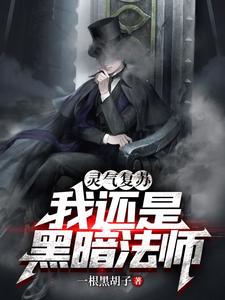 灵气复苏:我还是黑暗法师 cover