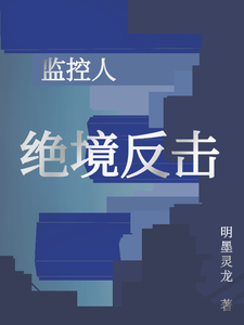 监控人:绝境反击 cover