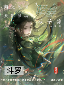 昭菱梦华录 cover