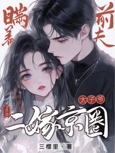 Hiding From My Ex-Husband, I Remarry the Capital Circle Prince! cover