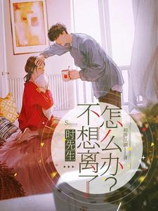 时先生，不想离了怎么办？ cover