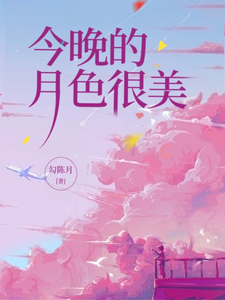 今晚的月色很美 cover