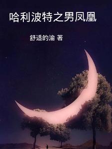 哈利波特之男凤凰 cover