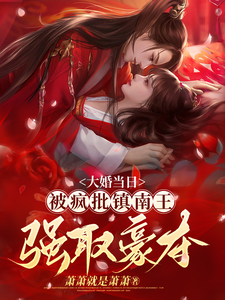 大婚当日，被疯批镇南王强取豪夺 cover