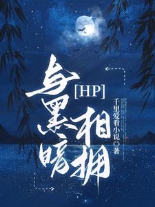 HP：与黑暗相拥 cover