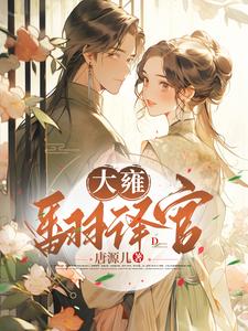 大雍翻译官 cover
