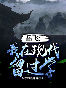 岳飞：我在现代留过学 cover