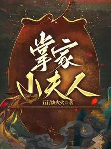 掌家小夫人 cover