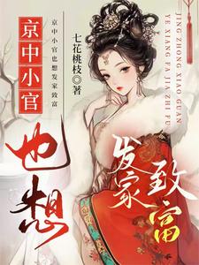 京中小官也想发家致富 cover
