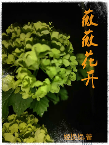 薇薇花开 cover