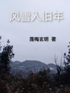 Wind and Snow Enter the Old Year cover