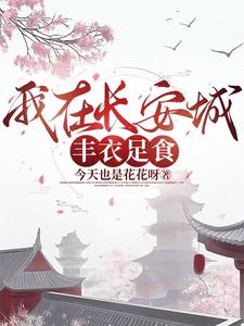 我在长安城丰衣足食 cover