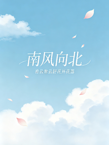 南风向北 cover