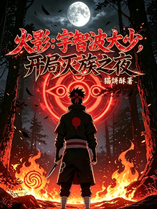火影:宇智波大少,开局灭族之夜 cover